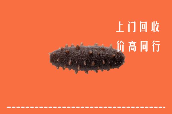 镇远县回收海参